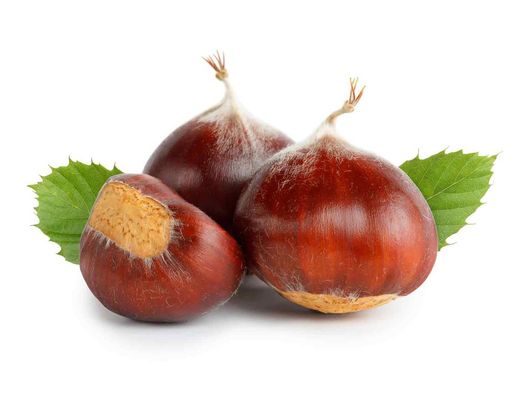 Castaños híbridos para castañas