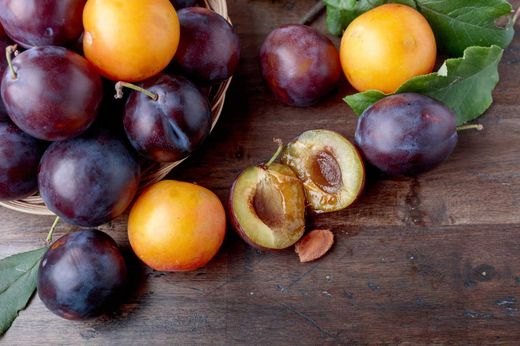 Ameixeira, Prunus domestica