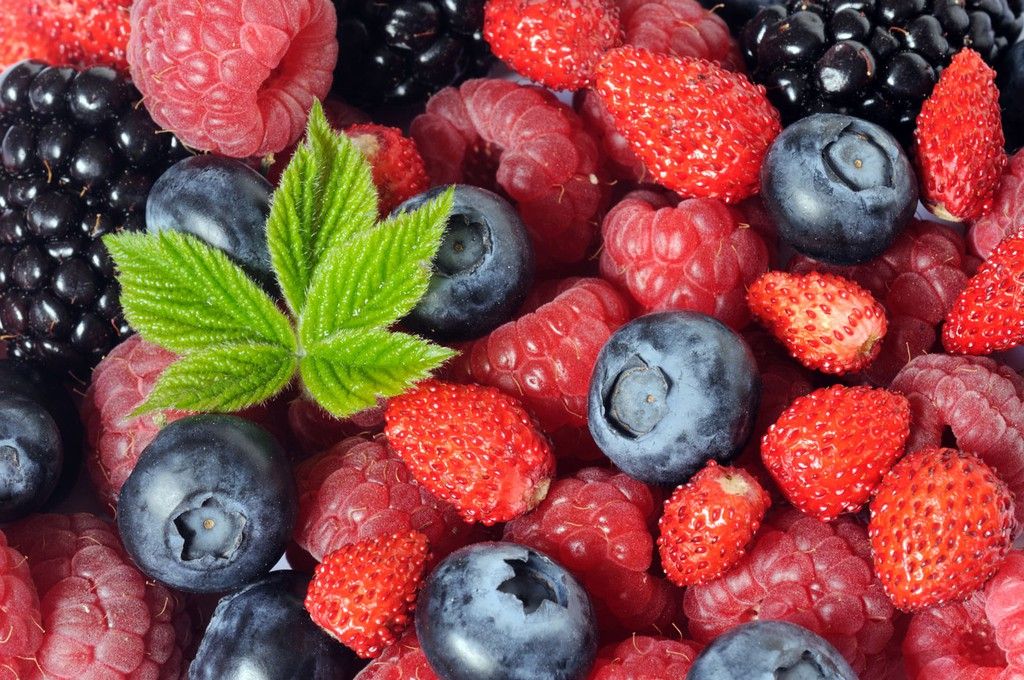Fruits des bois et arbres fruitiers exotiques