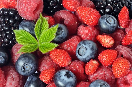 Frutos del bosque y frutales exóticos