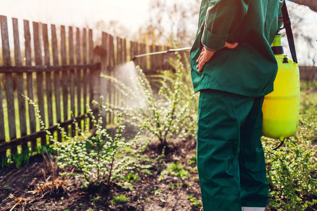 Fungicidas Uso Doméstico Libra A Tus Plantas De Enfermedades — Plantamus Vivero Online 1957