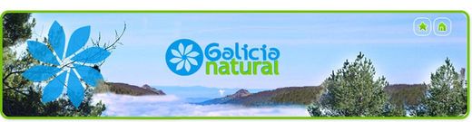 Alimentos naturais da Galiza