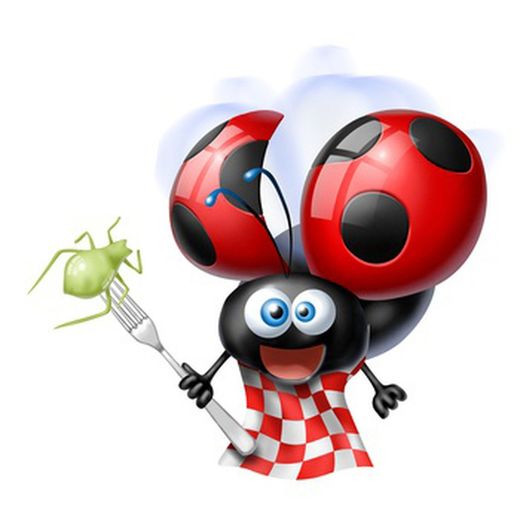 Inseticidas ecológicos.