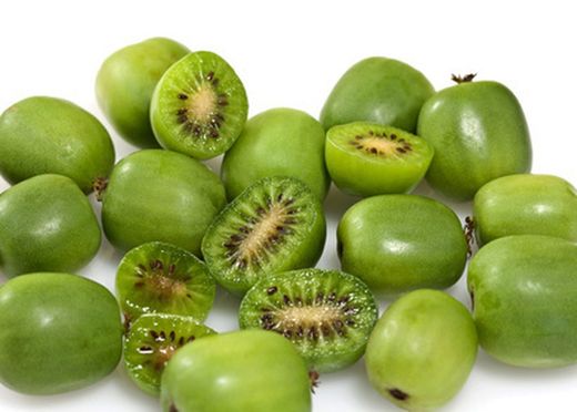 Kiwiño, Actinidia arguta.