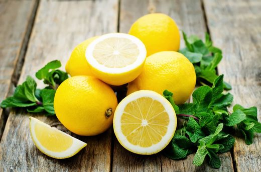 Citronnier, Citrus x limon