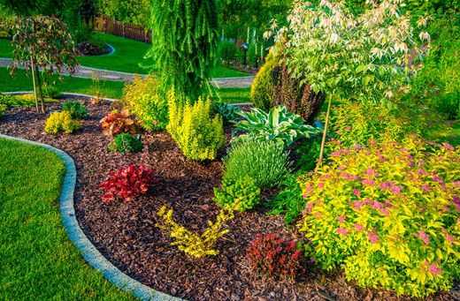 Plantes d'extérieur