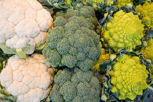 Semillas de coliflor, brócoli y coles de bruselas