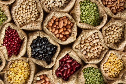 Graines pour le jardin bio