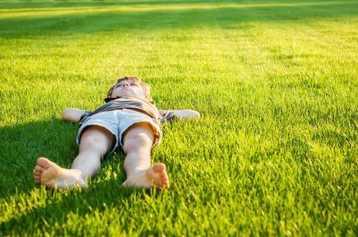 Graines pour une pelouse nécessitant peu d'entretien