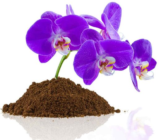 Substrat pour orchidées