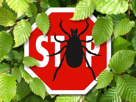 Pièges, répulsifs et appâts