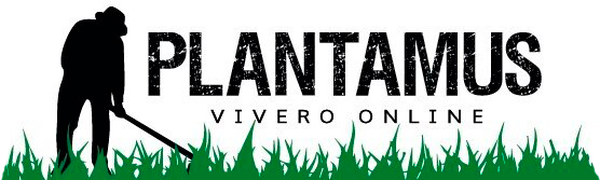 Logo Plantamus Vivero online