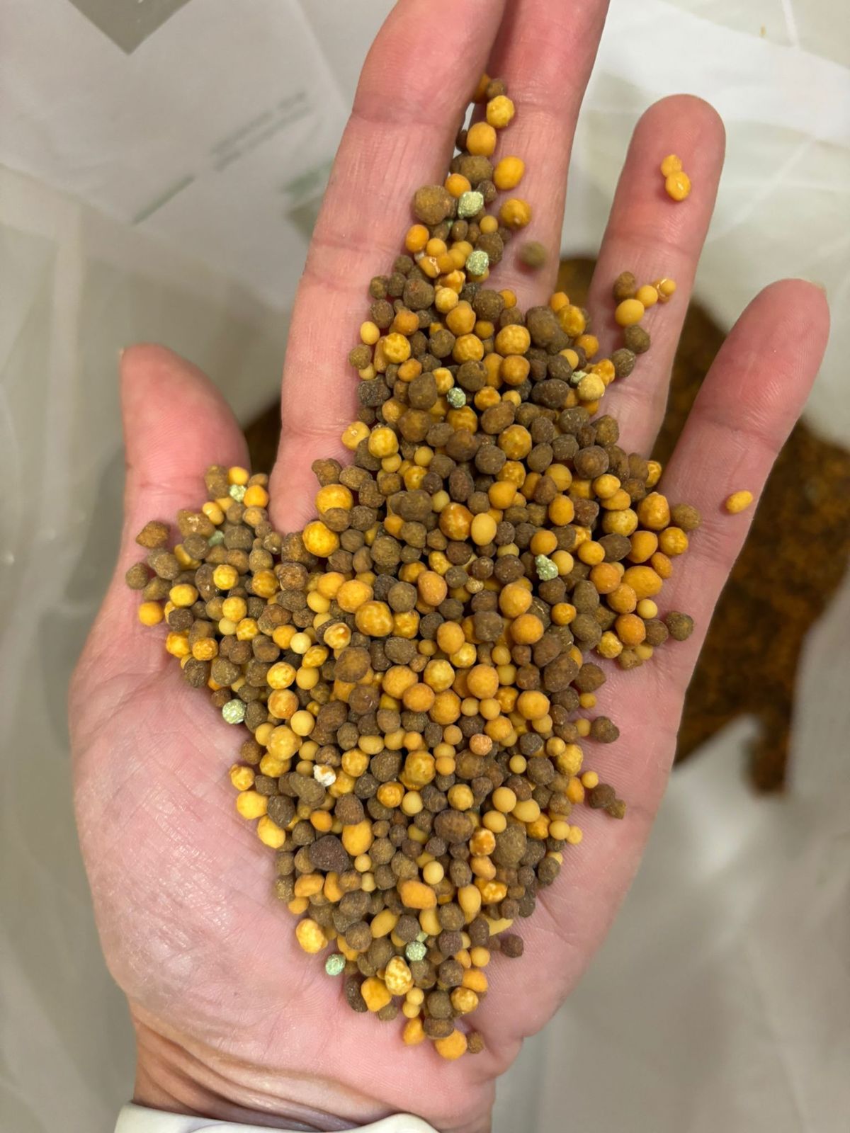 Abono para leylandis, arándanos, árboles frutales, fotinias y coníferas