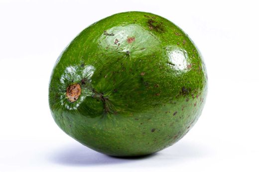 Árbol de Aguacate Reed - Persea americana ‘Reed’