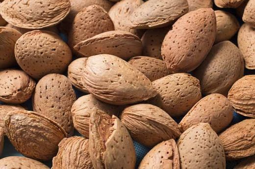Amandier Guara en sachet 2L