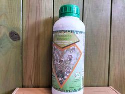 Anti-fungo ecológico de extrato de tomilho, fungo natural de tomilho vermelho
