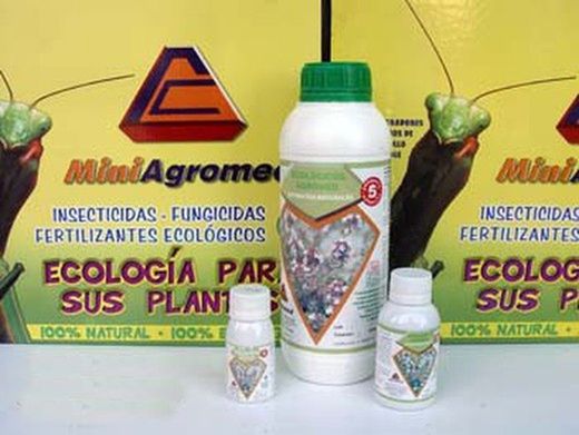 Extrait antifongique bio de thym, fongicide naturel de thym rouge