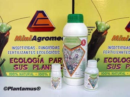 Anti hongos ecológico, fungicida natural de tomillo rojo de 100 cc