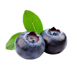 Blackberry Blue Gold, Vaccinium corymbosum "Bluegold"