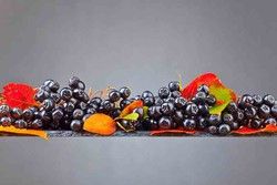 Aronia melanocarpa, aronia negra