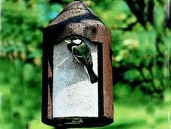 Caja nido pájaros para colgar en el jardín