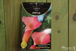 CALA ROSA. LIRIO DE AGUA