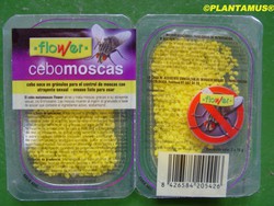 Izar proteína Disfraces Venta de Cebo granulado para eliminar moscas — Plantamus Vivero online