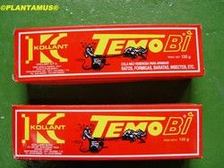 Cola inodora e incolor para capturar ratos, ratos, insetos, ... Cola sem veneno