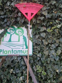 Balai de jardin pour l'herbe et les feuilles