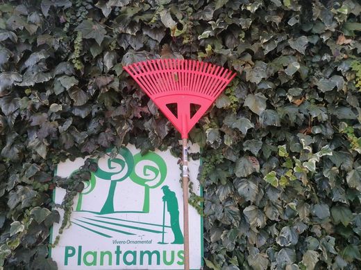 Balai de jardin pour l'herbe et les feuilles