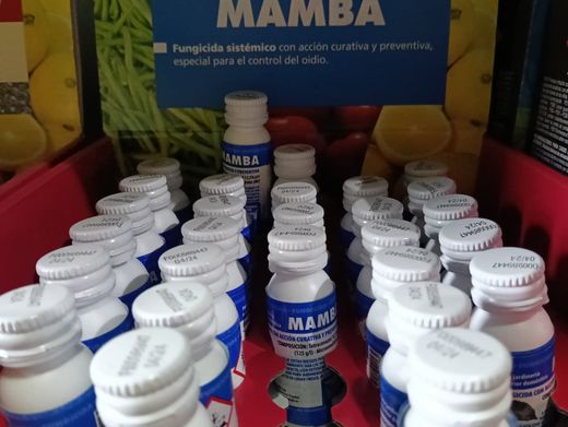 Fungicida Mamba para em árvores de fruto, triagem, manchas, oídio, ferrugem