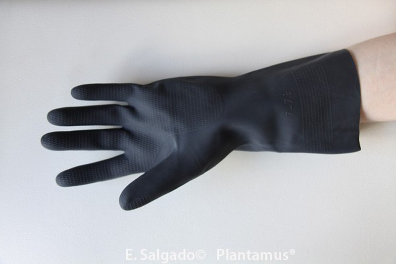 Sundridge super elástico Hydra full dedo neopreno guantes talla L o XL nuevo 