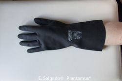 Luva de neoprene Tamanho 10/11 - XL