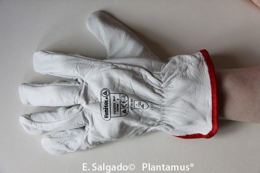 Guante de piel de vacuno Talla 8 - L