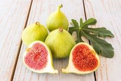 Higueras, Ficus carica