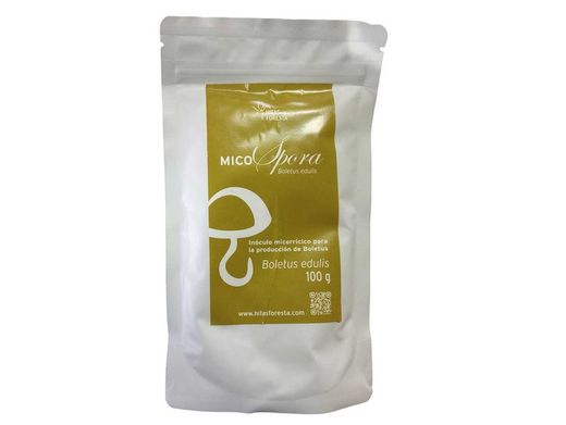 Inóculo micorrízico de Boletus edulis