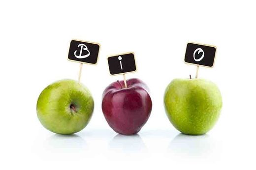 Insecticida ecológico de aceite de karanja