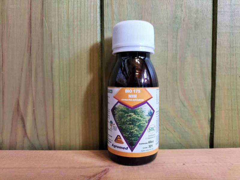 Extrait botanique d'huile de neem, neem — Plantamus Pépinière en ligne