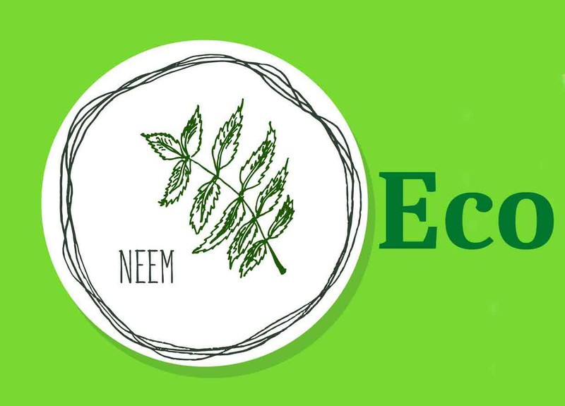 Extracto botánico de Aceite de neem, nim — Plantamus Vivero online