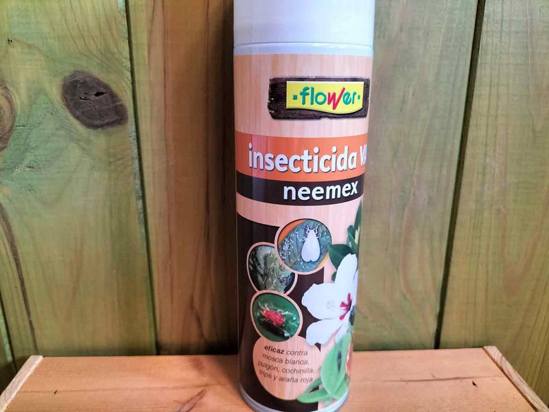 Extracto botánico de Aceite de neem, nim — Plantamus Vivero online