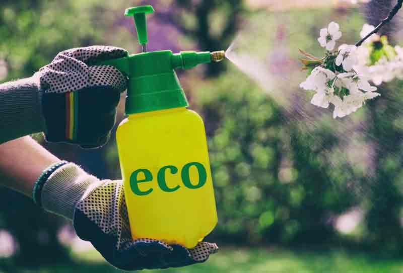 Insecticida ecológico de piretrina, piretrin — Plantamus Vivero online