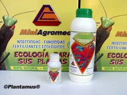 Insecticida ecológico de quassia amara, cuasia, 100 cc.