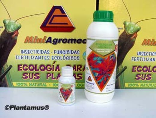 Insecticida ecológico de quassia amara, cuasia, 100 cc.
