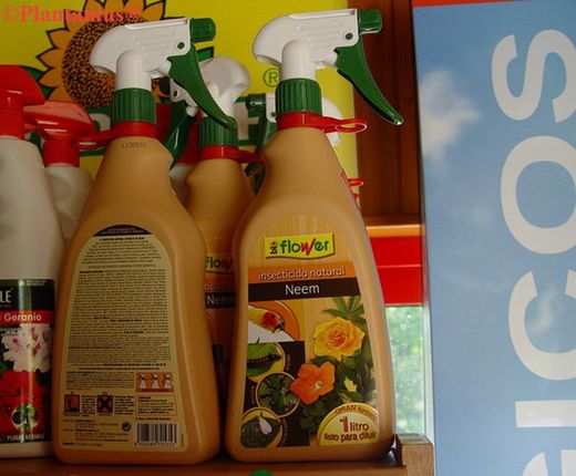 Insecticida natural de neem contra pulgón, chinches, orugas, larvas, ...
