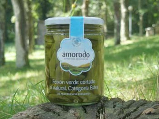 Haricots verts biologiques