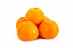 Tangerinas Satsuma Owari – Citrus unshiu "Owari"