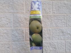 Manzana gallega 'Repinaldo', manzanos gallegos