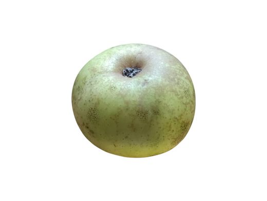 Manzana "Tres en Rama". Manzanos autóctonos gallegos