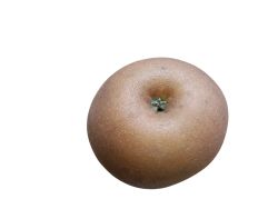 Manzano "Ollo mouro". Árbol frutal en maceta