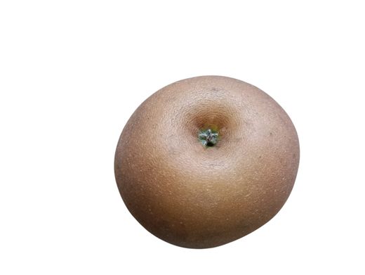 Manzano "Ollo mouro". Árbol frutal en maceta